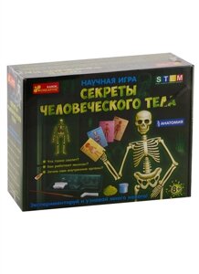 Научная игра Секреты человеческого тела