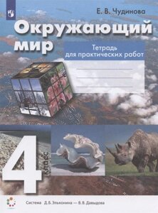 Окружающий мир. 4 класс. Тетрадь для практических работ. Учебное пособие (Система Д. Б. Эльконина - В. В. Давыдова)