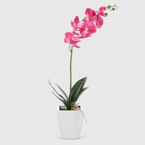Орхидея в белом кашпо Конэко-О 574_10159_185 60 см