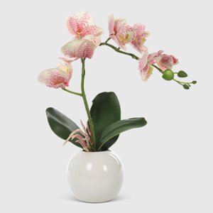 Орхидея в белом кашпо Конэко-О 576_10163185 40 см