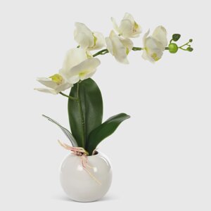 Орхидея в белом кашпо Конэко-О 578_10163185 40 см