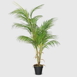 Пальма искусственная Конэко-О-5551081 в кашпо 115 см