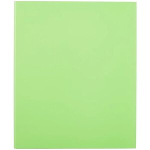 Папка на двух кольцах «Neon», Erich Krause, зелёная, А4