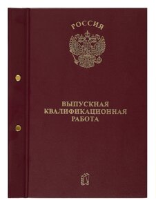 Папка Выпускная квалификационная работа бордо, с 2-мя отверстиями