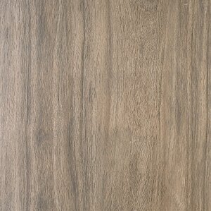 Плитка Kerama Marazzi Якаранда Коричневая 50,2x50,2 см SG450600N