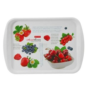 Поднос Plast Team Berry прямоугольный 435 305 мм (PT9215IML-BERRY)