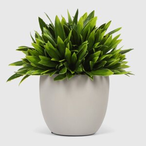 Растение Dekor pap искусственное в кашпо 17 см
