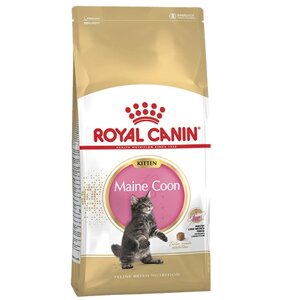 Royal Canin Breed cat Kitten Maine Coon / Сухой корм Роял Канин для Котят породы Мэйн Кун в возрасте до 15 месяцев