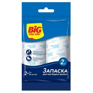 Сменные блоки для валика Big City 2шт