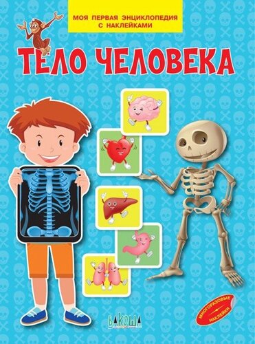 Тело человека. Моя первая энциклопедия с наклейками