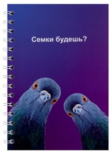 Тетрадь 80л кл. Голуби (семки) спираль, пласт. обложка