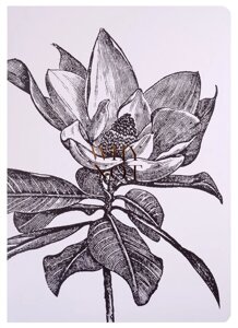 Тетрадь А4 40л кл. Aesthetics, черный цветок на белом, мягк. переплет, ламинация, фольга