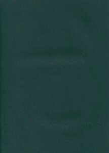 Тетрадь А4 96л кл. Зеленый бумвинил офсет 60г/м2