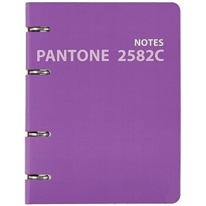 Тетрадь на кольцах Pantone line 2582С, 120 листов