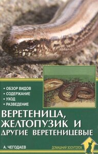 Веретеница, желтопузик и другие веретеницевые