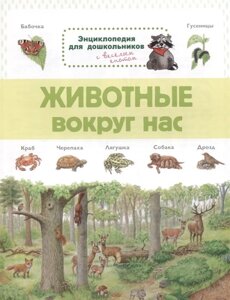 Животные вокруг нас. Энциклопедия для дошкольников с веселым енотом