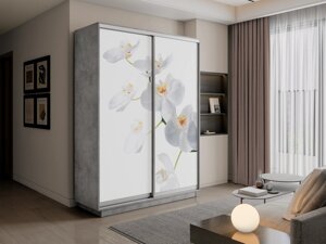 Шкаф-купе 2-х дверный Экспресс-2 1200х450/600х2200/2400 (Фотопечать орхидея белая) Е1 мебель