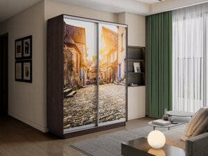 Шкаф-купе 2-х дверный Экспресс-2 1200х450/600х2200/2400 (Фотопечать улица) Е1 мебель