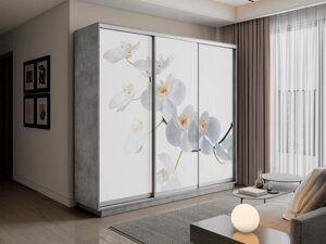 Шкаф-купе 3-х дверный Экспресс-2 2100х450/600х2200/2400 (Фотопечать орхидея белая) Е1 мебель