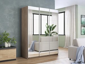 Шкаф-купе Прайм 3-х дверный 1800х570х2300 (Зеркало) Е1 мебель