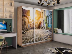 Шкаф-купе 3-х дверный Экспресс-2 2400х450/600х2200/2400 (Фотопечать улица) Е1 мебель