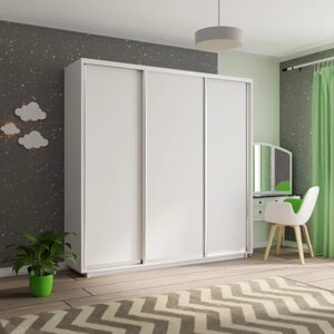 Шкаф-купе 3-х дверный Экспресс-2 1800х450/600х2200/2400 (ЛДСП) Е1 мебель