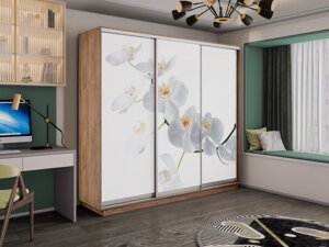 Шкаф-купе 3-х дверный Экспресс-2 2400х450/600х2200/2400 (Фотопечать орхидея белая) Е1 мебель