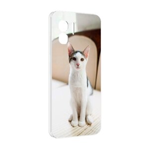 Чехол MyPads порода кошка эгеиская для Doogee X98 Pro задняя-панель-накладка-бампер