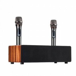 Караоке-система для дома с беспроводными микрофонами SkyDisco Final Bass Artifact