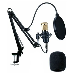 Микрофон, студийный микрофон, студийный конденсаторный микрофон BM-800, черно золотой