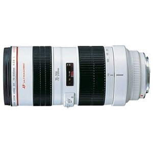 Объектив Canon EF 70-200mm f/2.8L USM, черный/белый