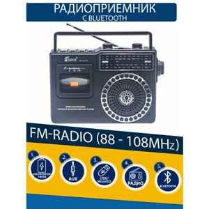 Радиоприемник EPE FP-317-S + солнечная батарея silver