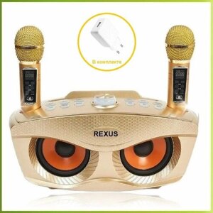 REXUS SD-306 Plus (Gold) - домашняя караоке система, изменение голоса, Bluetooth
