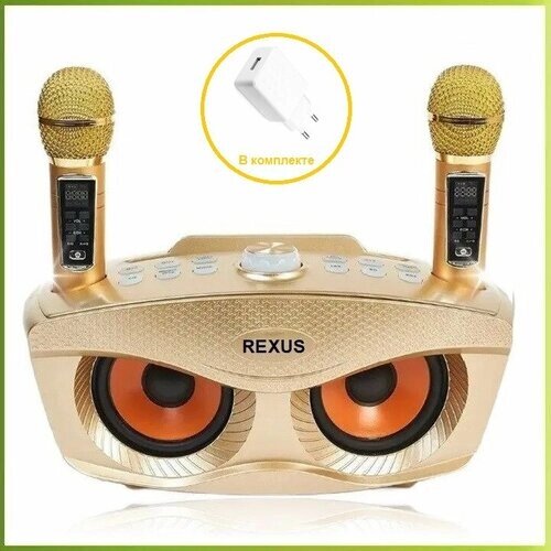 REXUS SD-306 Plus (Gold) - домашняя караоке система, изменение голоса, Bluetooth