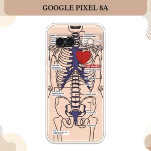 Силиконовый чехол "Скелет человека" на Google Pixel 8A / Гугл Пиксель 8А, прозрачный