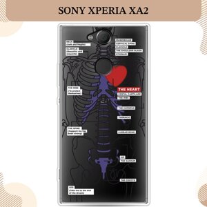 Силиконовый чехол "Скелет человека" на Sony Xperia XA2 / Сони Иксперия XA2, прозрачный
