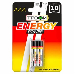 Батарейки трофи LR03-2BL energy POWER alkaline арт. C0034929 (2 шт.)