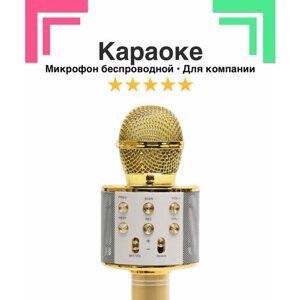 Беспроводной микрофон караоке с селфи-модом FUNNY TIME, с корректором голоса и поддержкой микро-карт, золотой