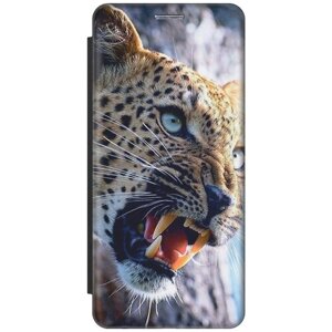 Чехол-книжка на Apple iPhone 11 Pro / Эпл Айфон 11 Про с рисунком "Лютый леопард" черный