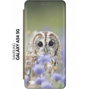 Чехол-книжка на Samsung Galaxy A54 5G, Самсунг А54 c принтом "Сова и васильки" золотистый