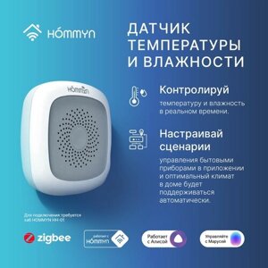 Датчик температуры и влажности HOMMYN TS-20-Z