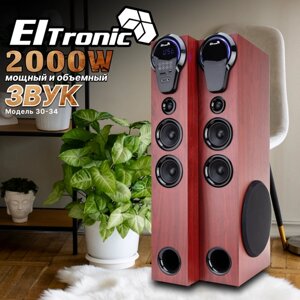Колонка Eltronic 30-34 Home Sound с FM-радио и дисплеем для караоке (красная)