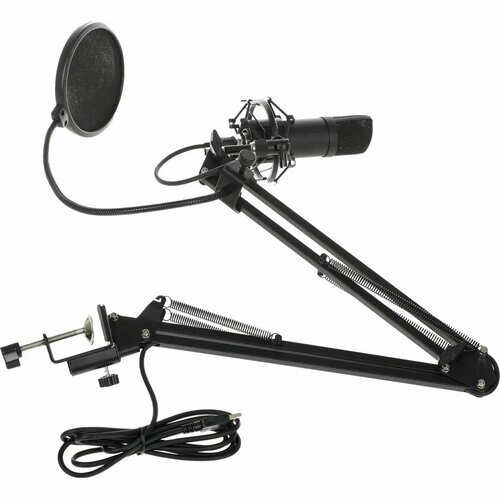Микрофон Ritmix RDM-180, black