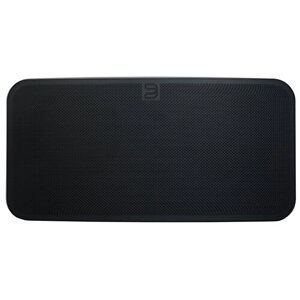 Портативная акустика Bluesound PULSE MINI 2i, 100 Вт, black