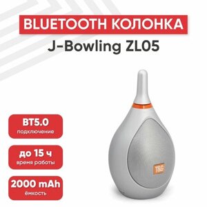 Портативная колонка J-Bowling ZL05, 2000мАч, динамик 5Вт, BT 4.2, AUX, MicroSD, USB, серебристая