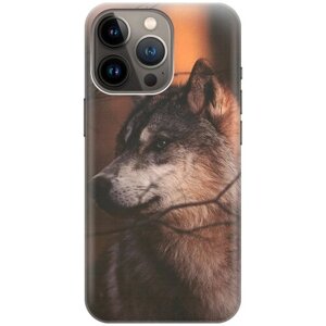 Силиконовый чехол на Apple iPhone 14 Pro / Эпл Айфон 14 Про с рисунком "Красивый волк"