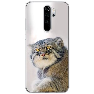 Силиконовый чехол на Xiaomi Redmi Note 8 Pro / Сяоми Редми Нот 8 Про Кот манул 1