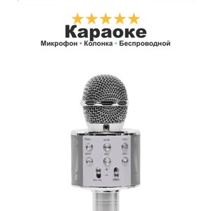 Беспроводной микрофон караоке с селфи-модом FUNNY TIME, с корректором голоса и поддержкой микро-карт, серый
