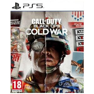 Call of Duty: Black Ops Cold War (PS5) английский язык