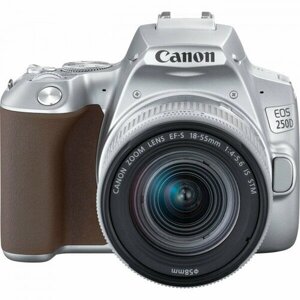 Фотоаппарат Canon EOS 250D Kit EF-S 18-55mm f/4-5.6 IS STM, серебристый